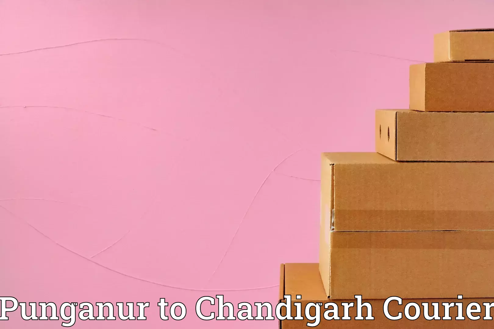 Local household movers Punganur to Panjab University Chandigarh