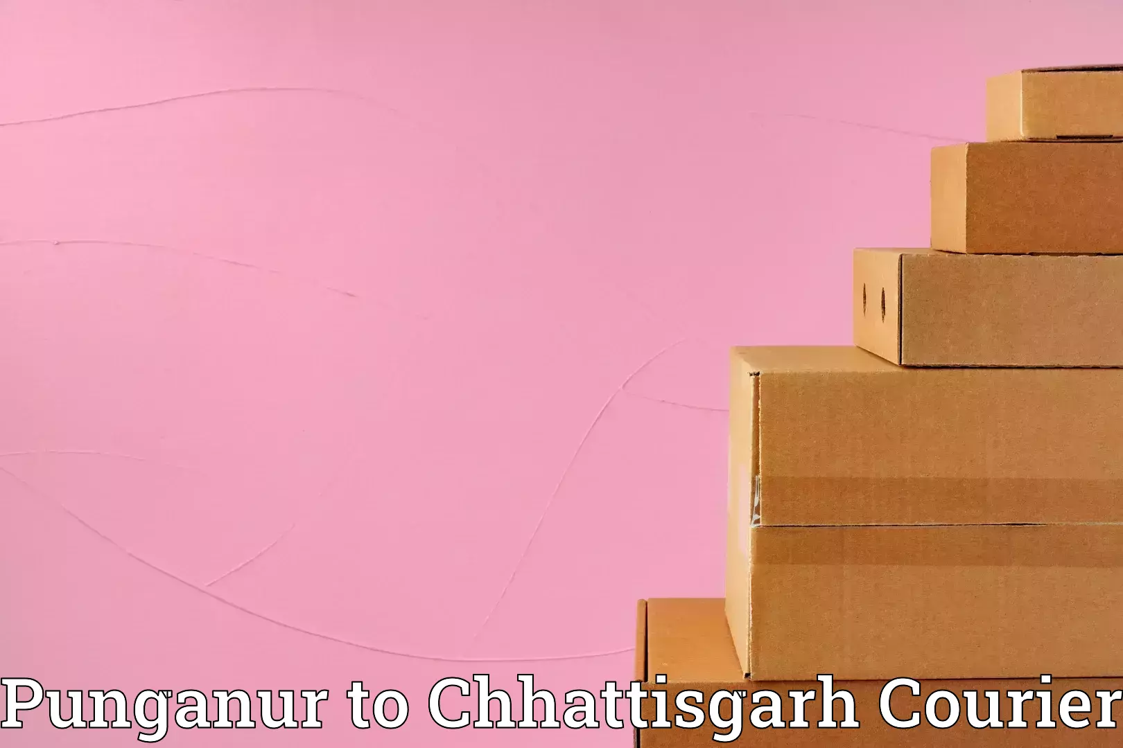 Trusted furniture movers in Punganur to Bhilai