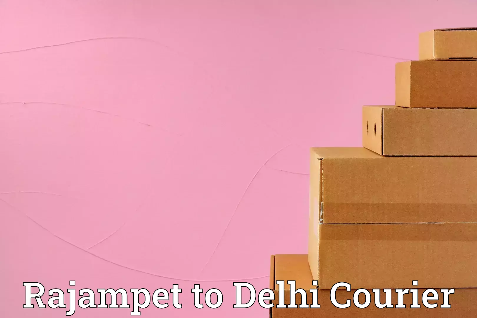 Tailored moving packages Rajampet to IIT Delhi