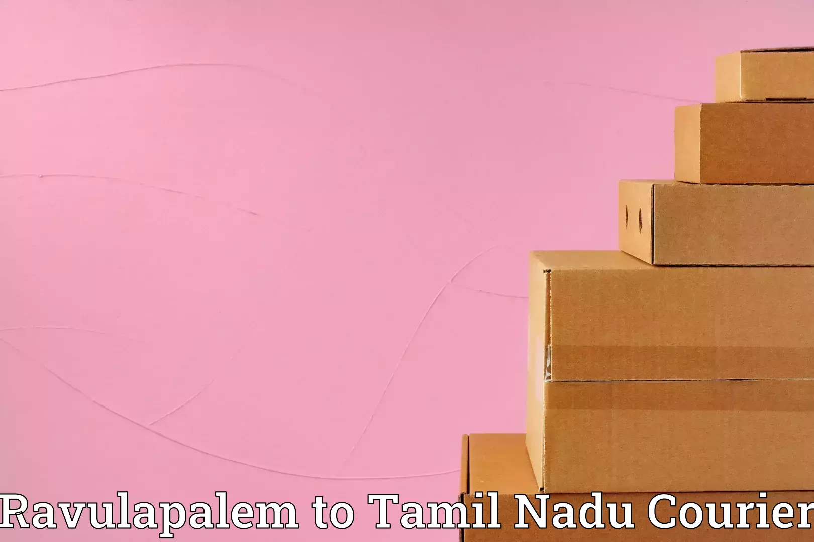 Cost-effective moving solutions Ravulapalem to Cheyyar