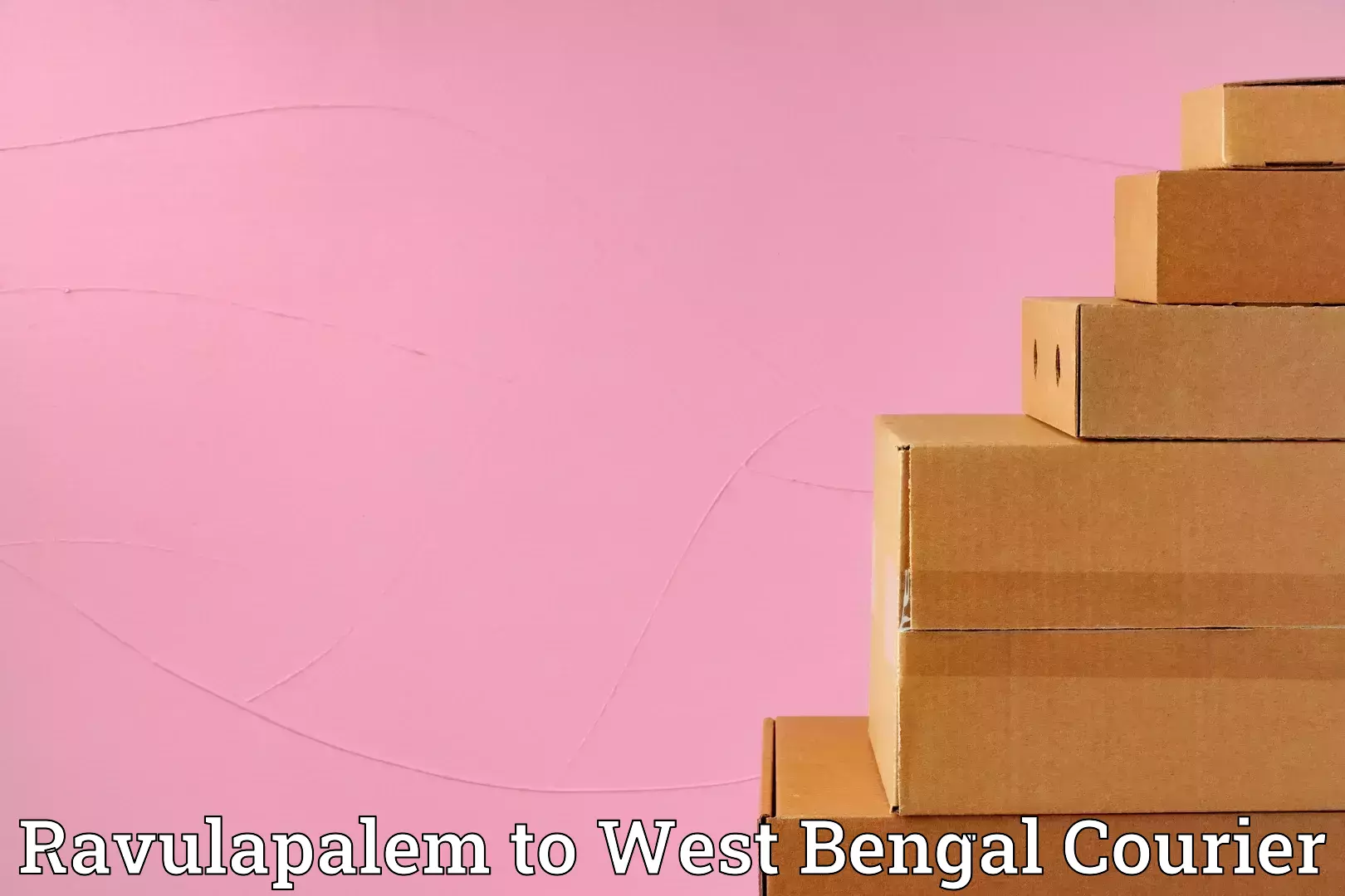 Stress-free furniture moving Ravulapalem to Panihati