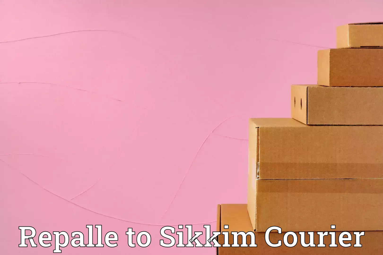 Home relocation and storage Repalle to Sikkim