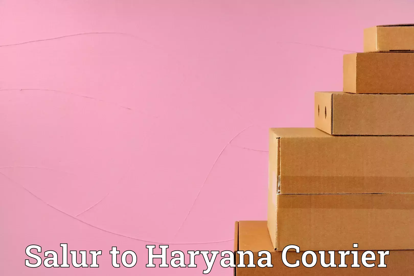 Professional furniture transport in Salur to Hisar