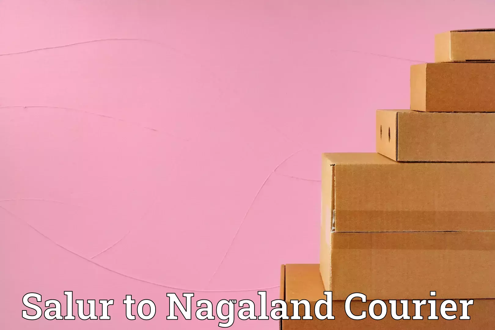 Household goods transport service Salur to NIT Nagaland