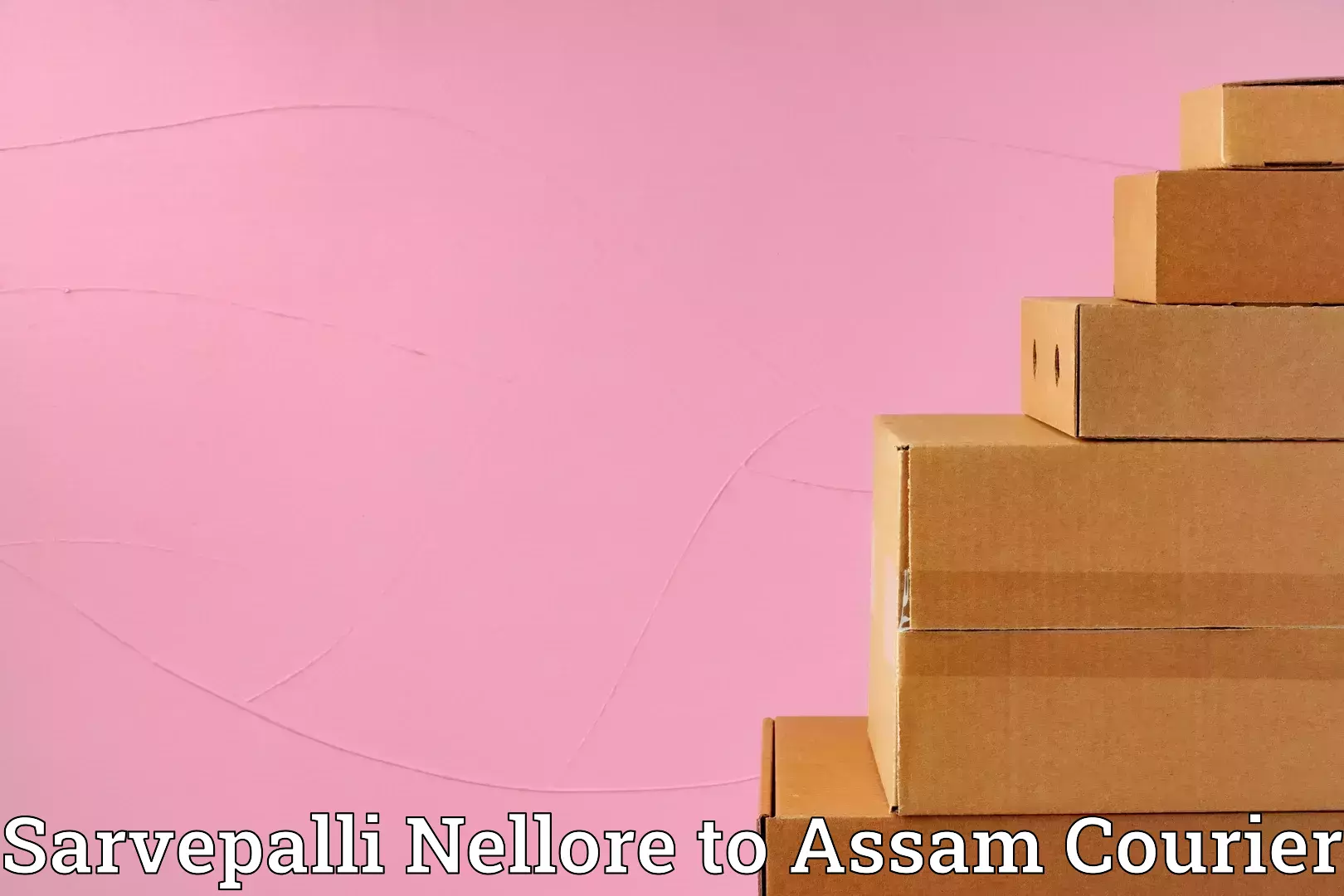 Specialized furniture movers Sarvepalli Nellore to Mangaldoi