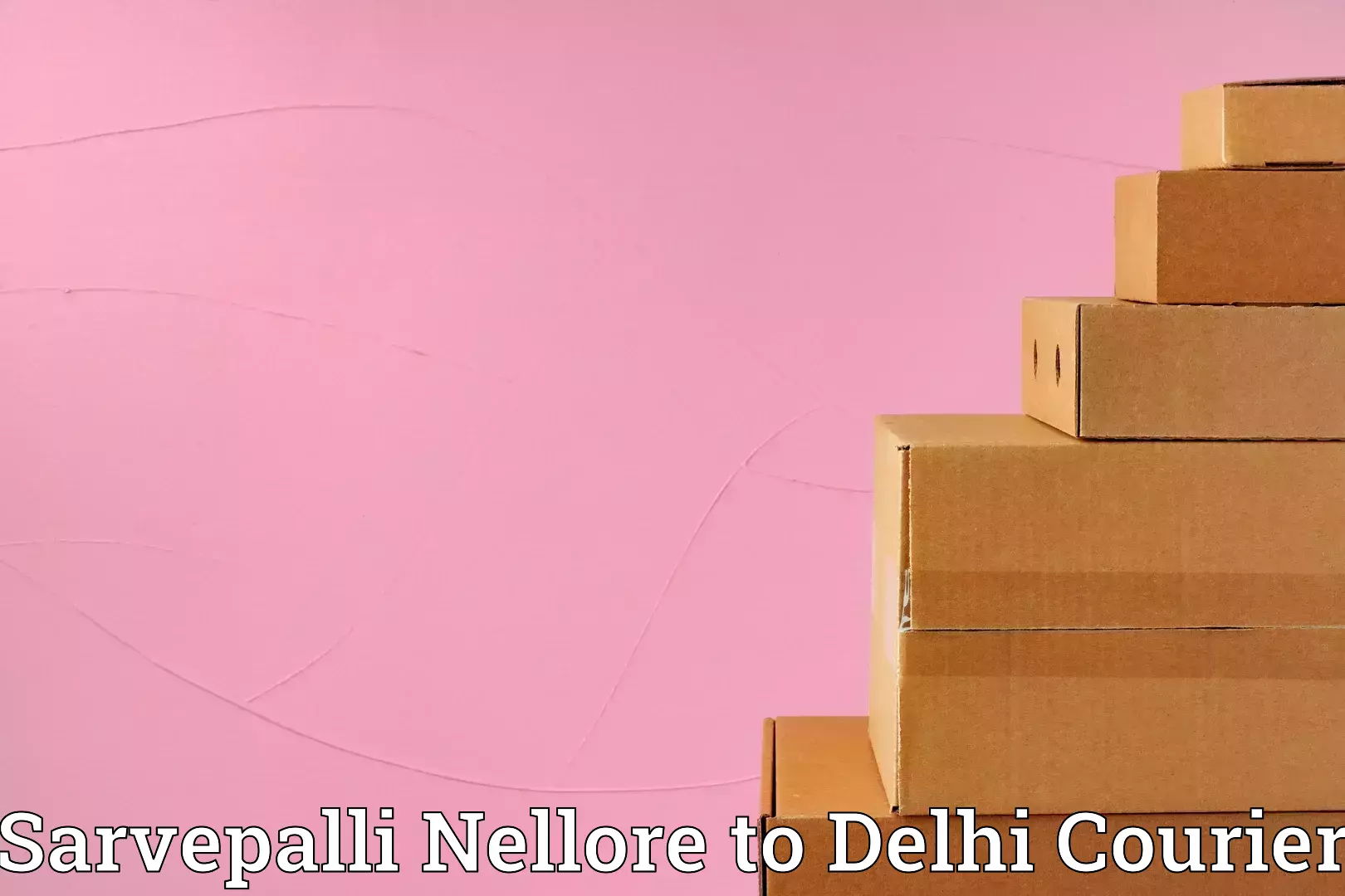 Household shifting services in Sarvepalli Nellore to Delhi Technological University DTU