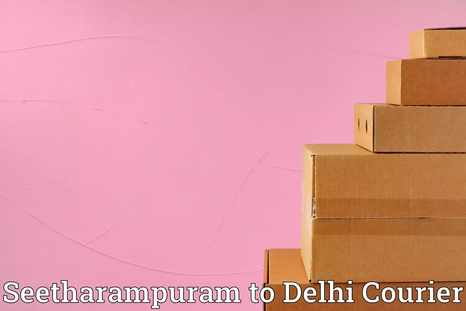 Professional packing and transport Seetharampuram to Delhi