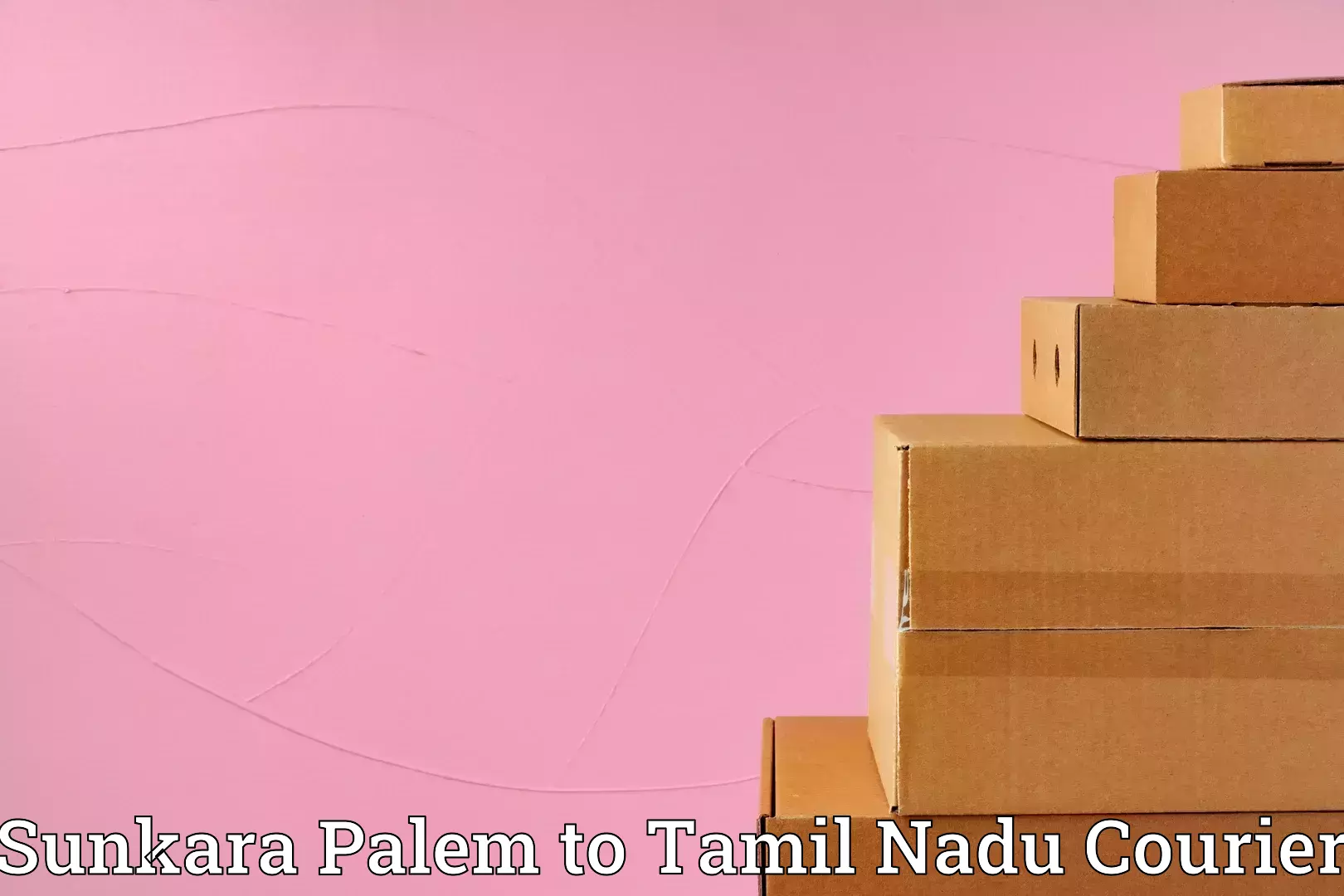 Efficient furniture movers Sunkara Palem to Nanguneri