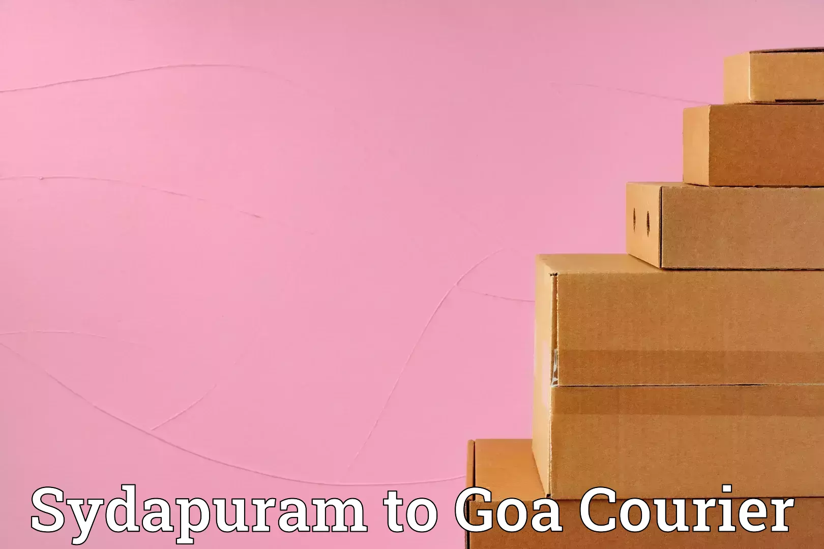 Professional packing services Sydapuram to Panaji