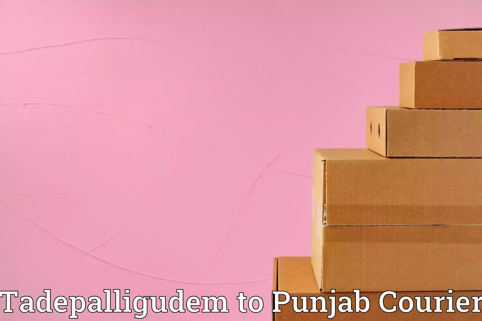 Personalized relocation plans Tadepalligudem to Nakodar