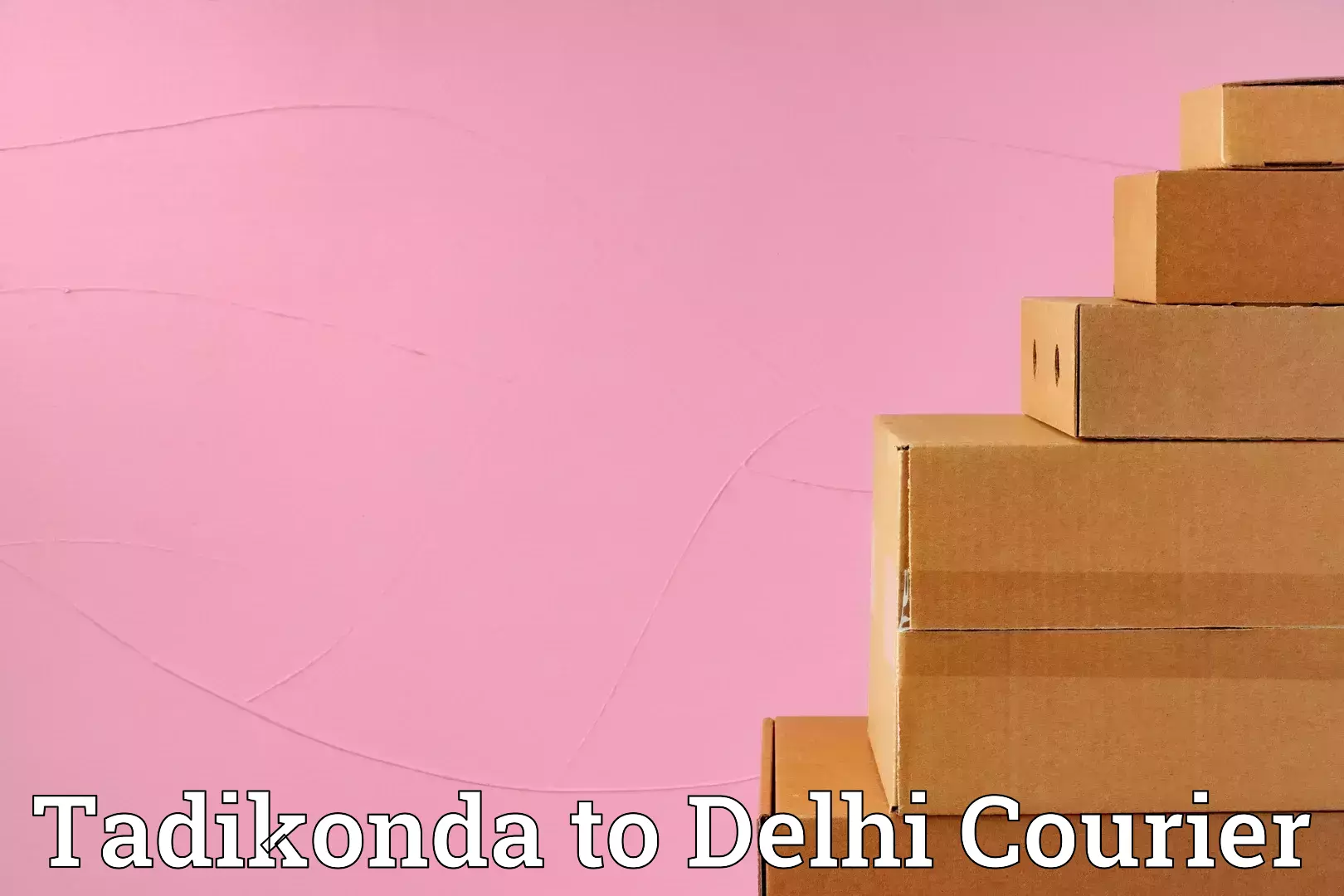 Efficient moving and packing Tadikonda to Sansad Marg