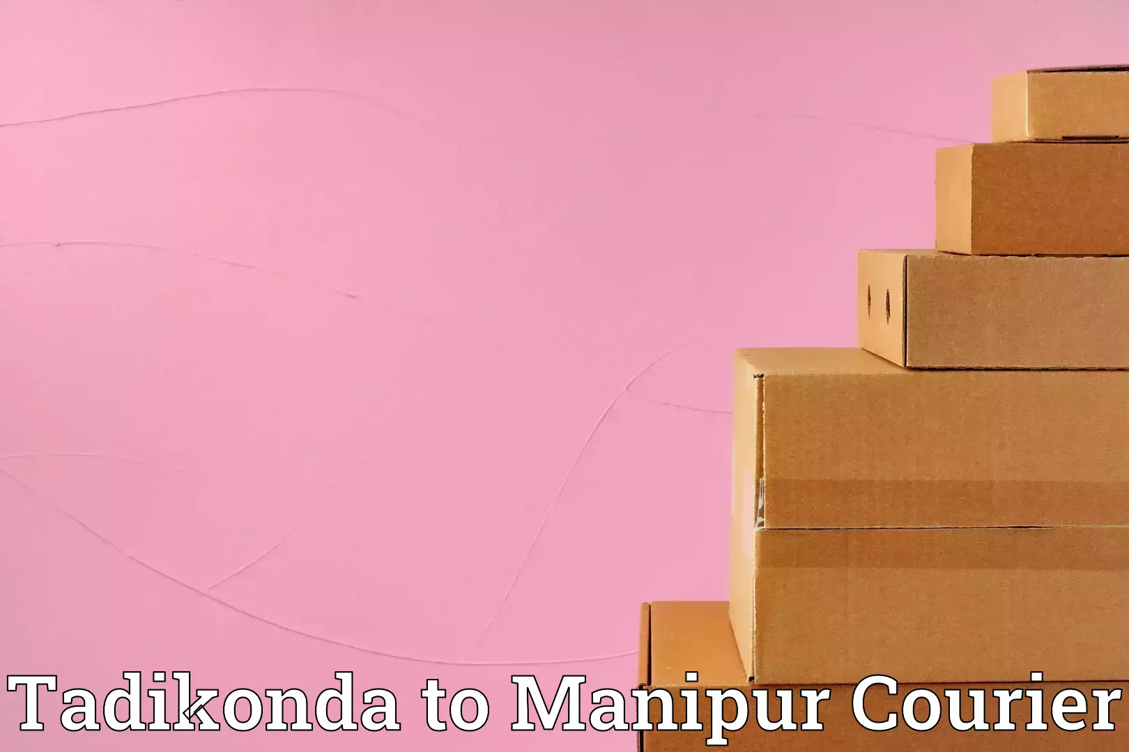 Home moving service Tadikonda to Senapati