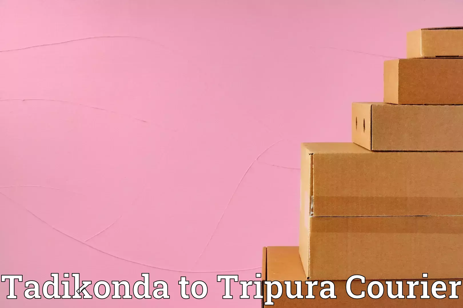 Efficient home goods movers Tadikonda to NIT Agartala