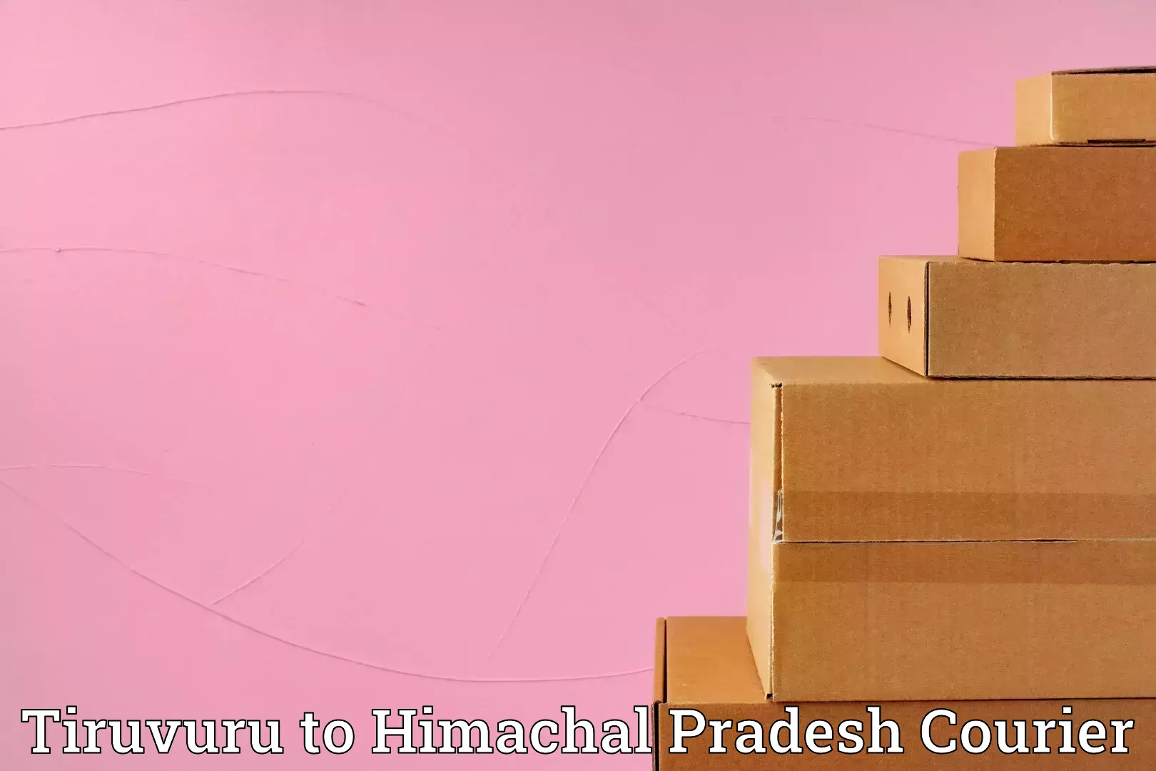 Smooth relocation services Tiruvuru to Amb Una