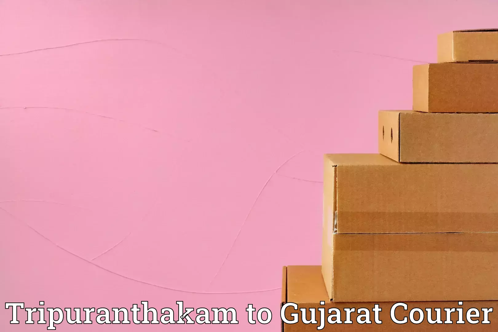 Nationwide household movers in Tripuranthakam to Manavadar