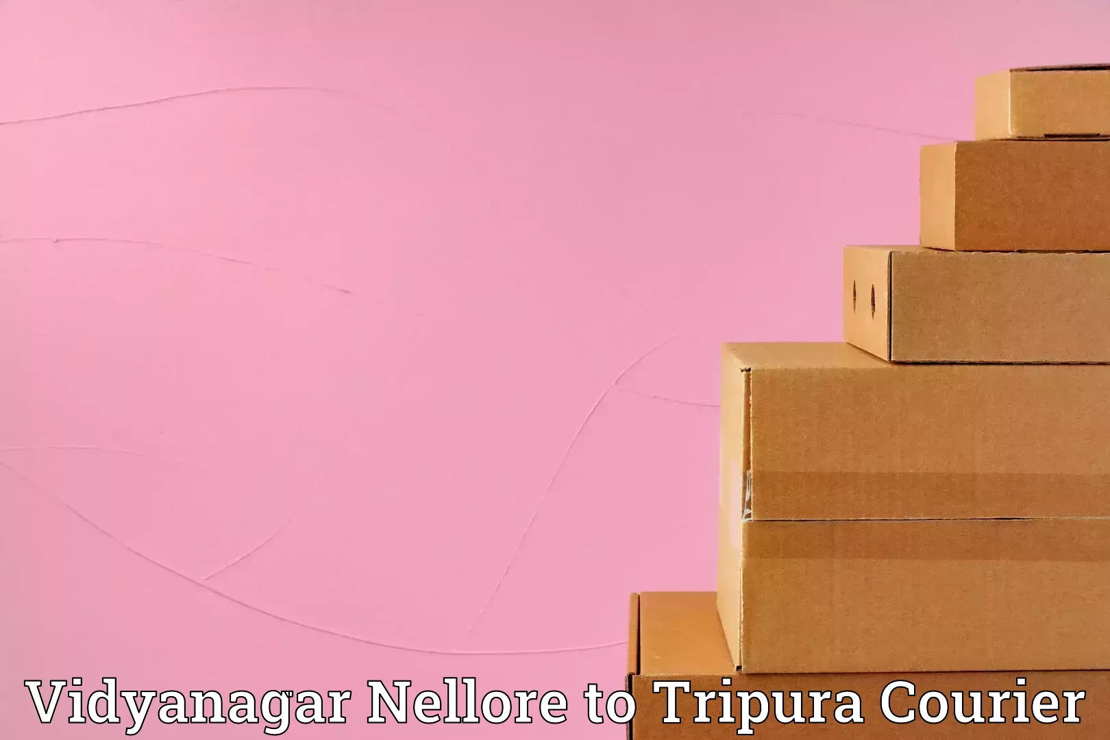 Efficient home movers Vidyanagar Nellore to Sonamura