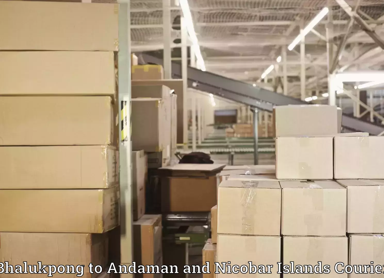 Home goods moving Bhalukpong to Andaman and Nicobar Islands