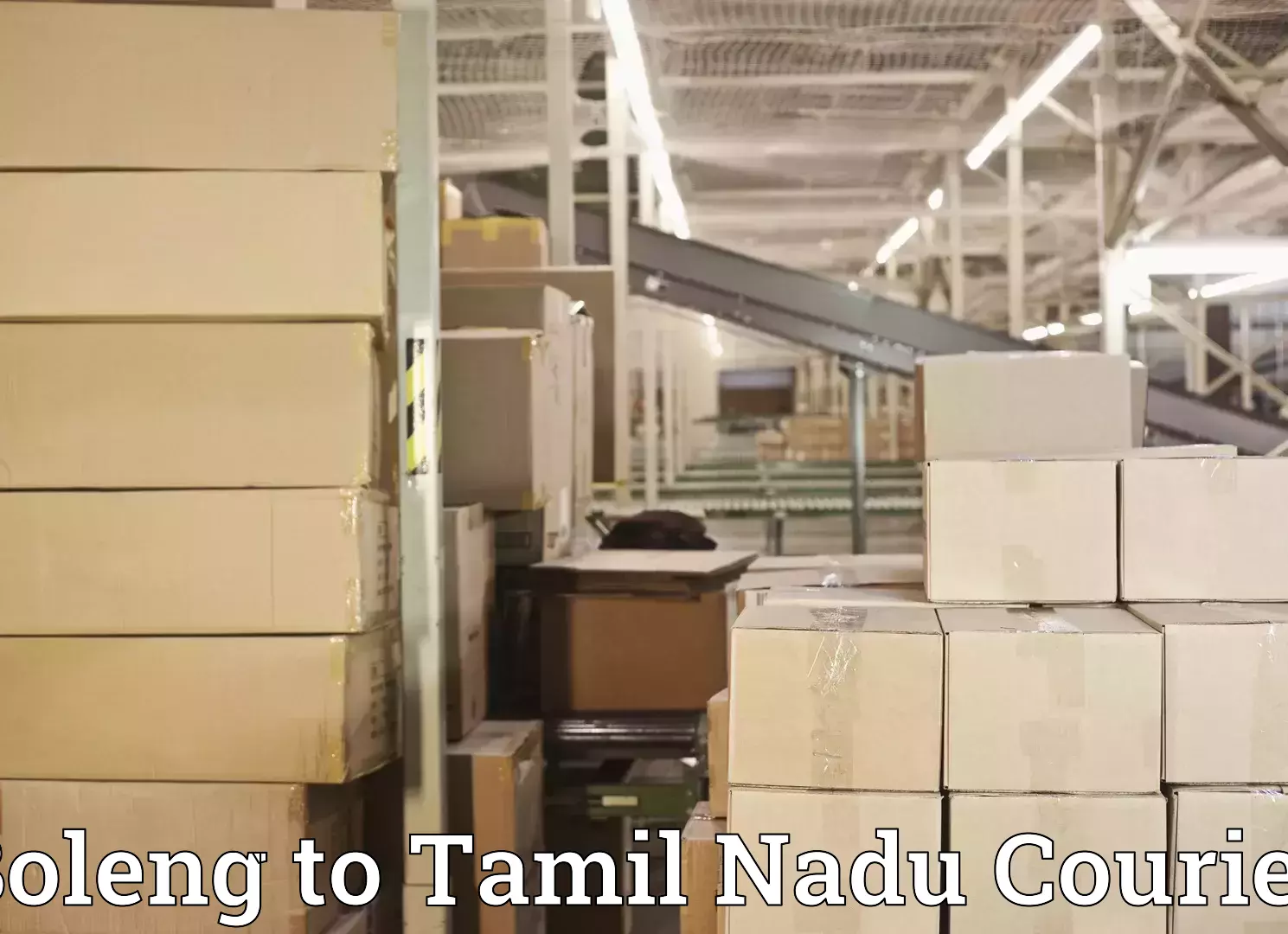 Home goods movers in Boleng to Ottapidaram