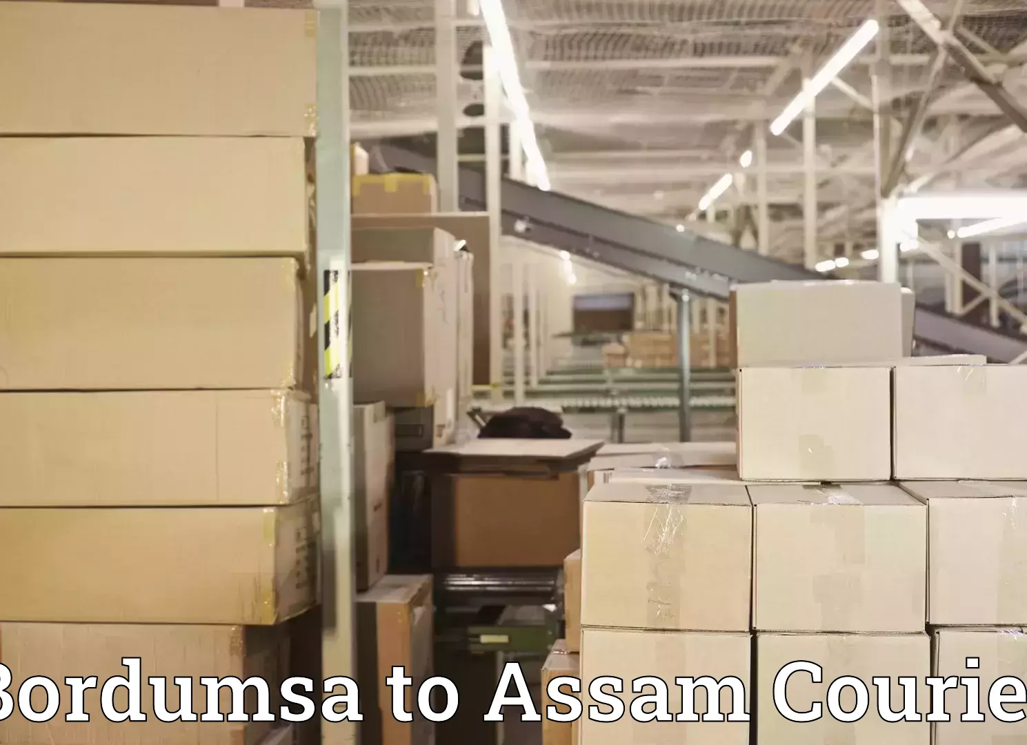 Comprehensive moving assistance Bordumsa to Assam