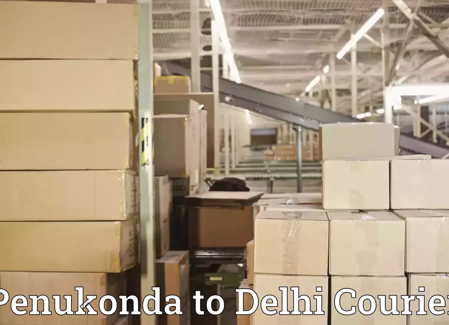 Personalized moving service Penukonda to Indraprastha