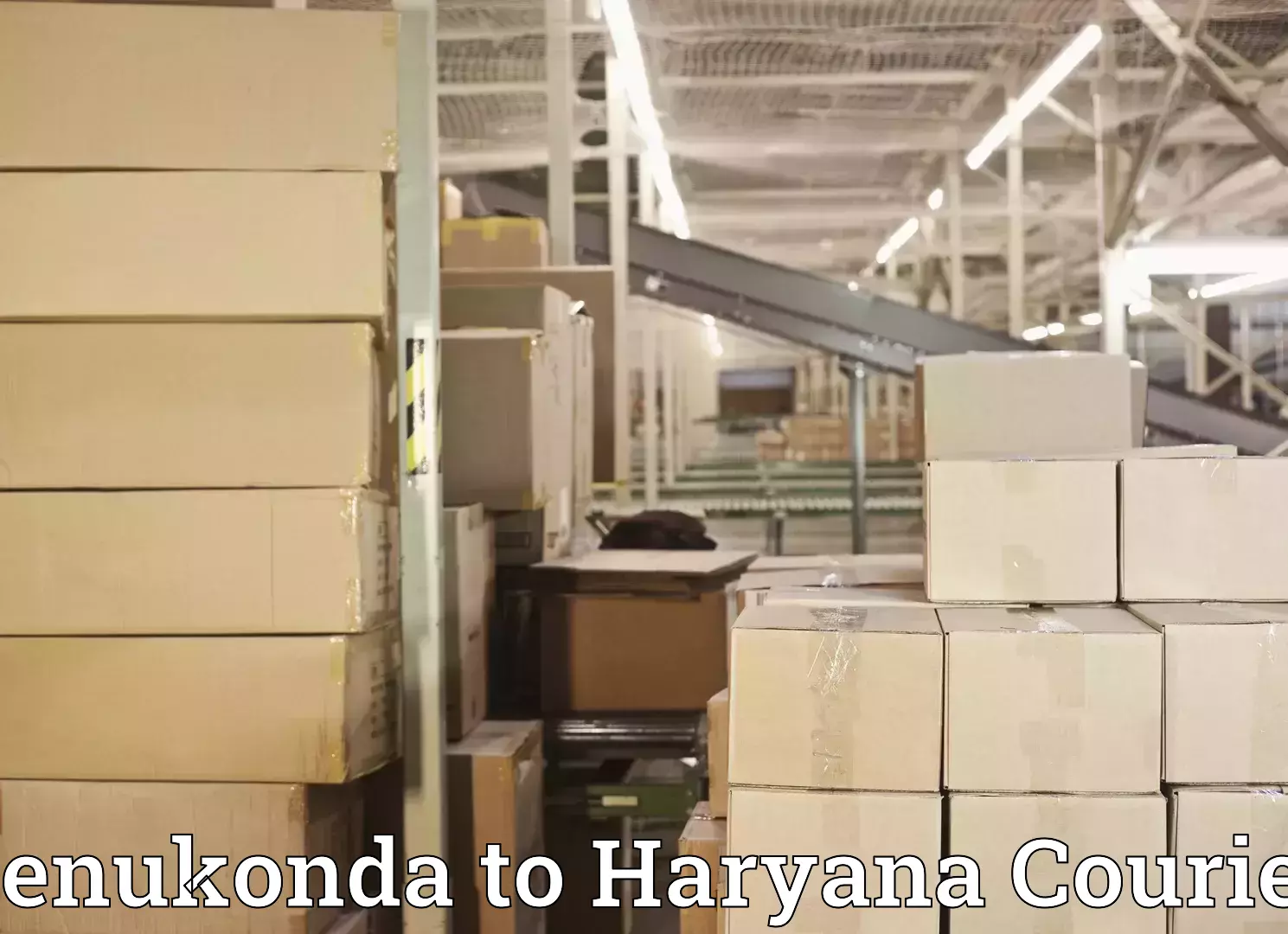 Affordable moving solutions Penukonda to Bilaspur Haryana