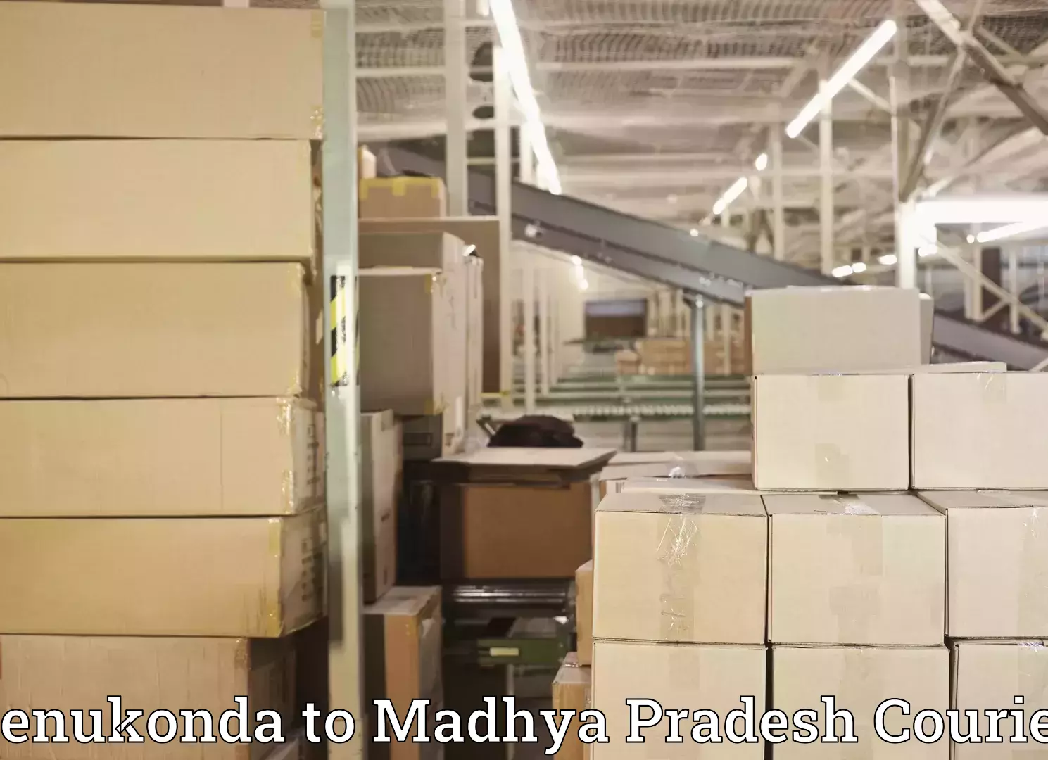 Home goods moving Penukonda to Madhya Pradesh