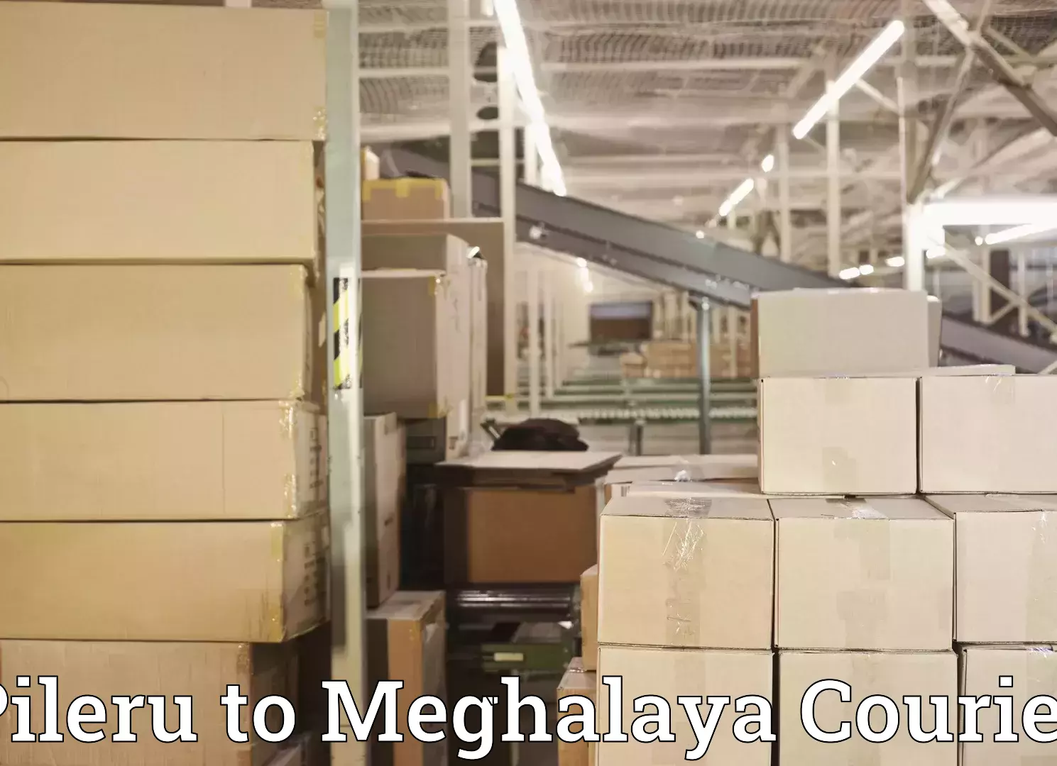 Home goods transport Pileru to NIT Meghalaya