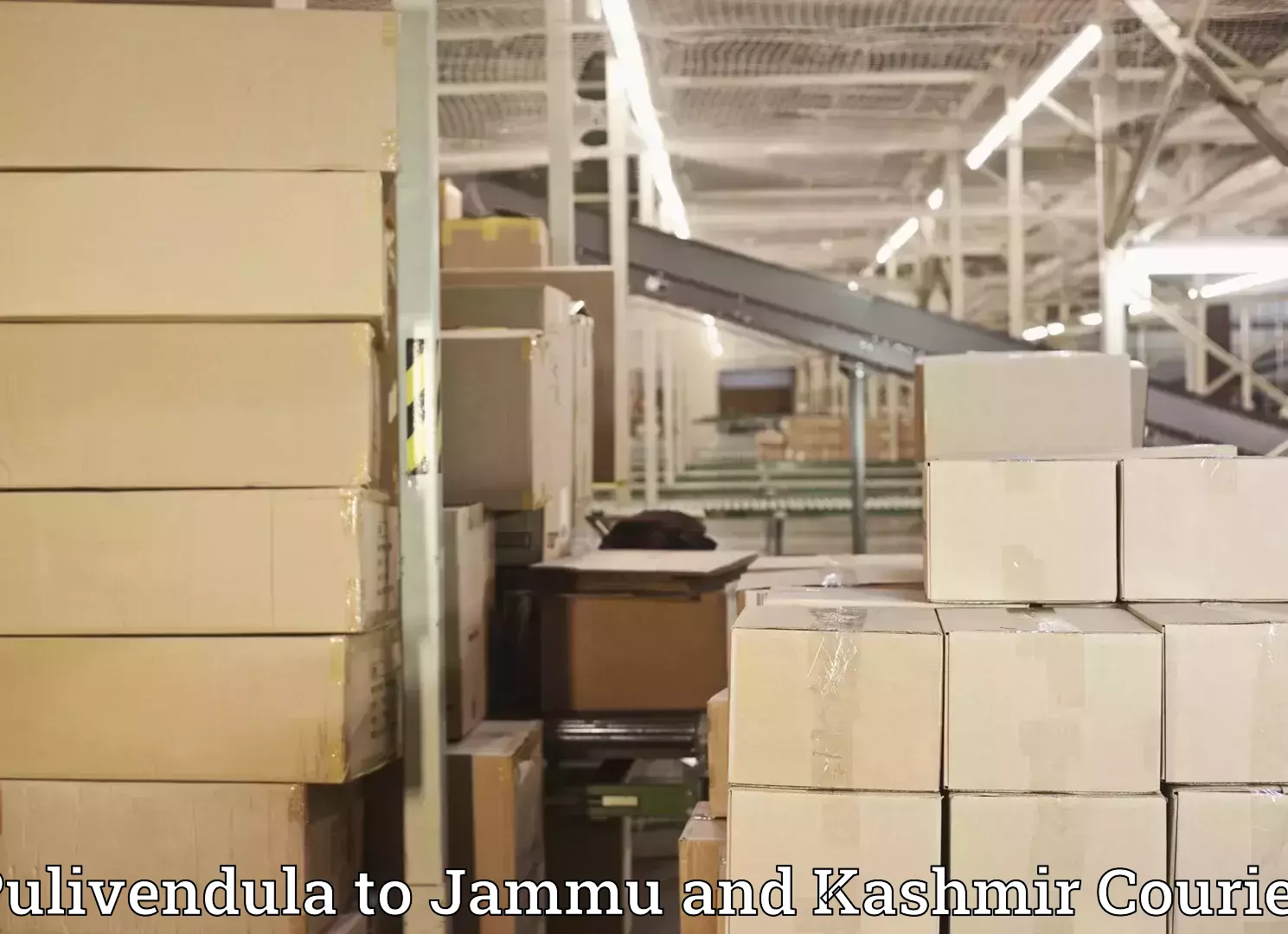 Efficient home relocation Pulivendula to Jammu and Kashmir