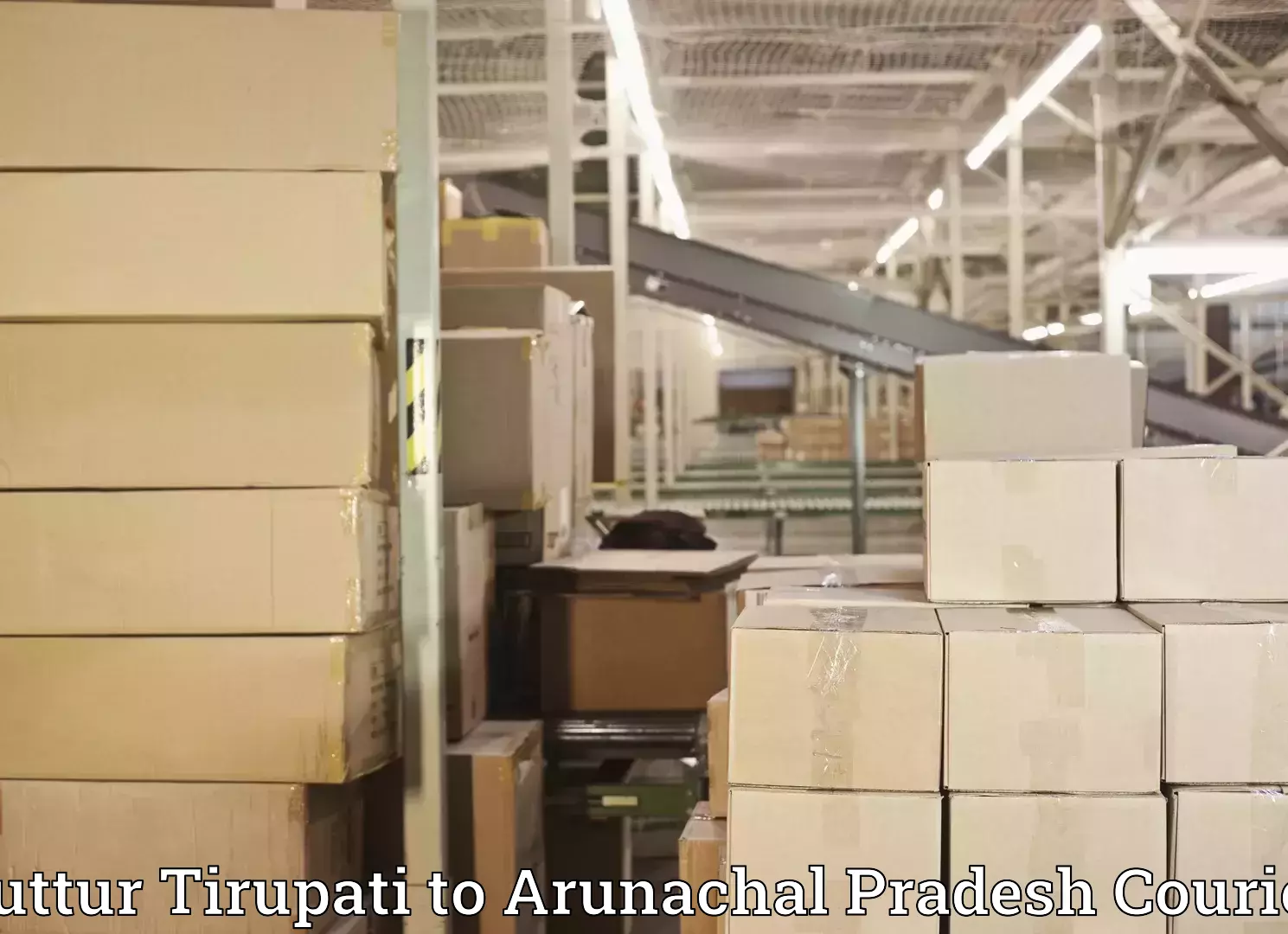 Personalized relocation plans Puttur Tirupati to Upper Subansiri