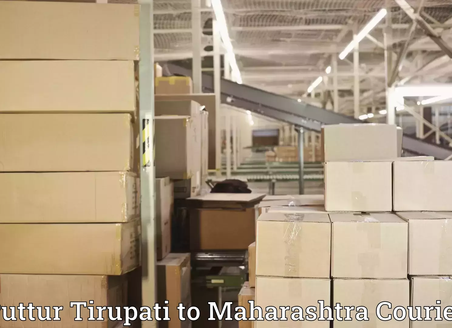 Local household moving Puttur Tirupati to Pune