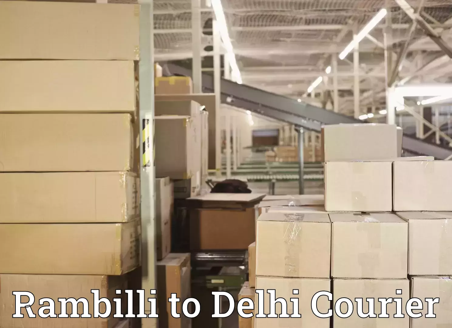 Efficient relocation services Rambilli to Delhi