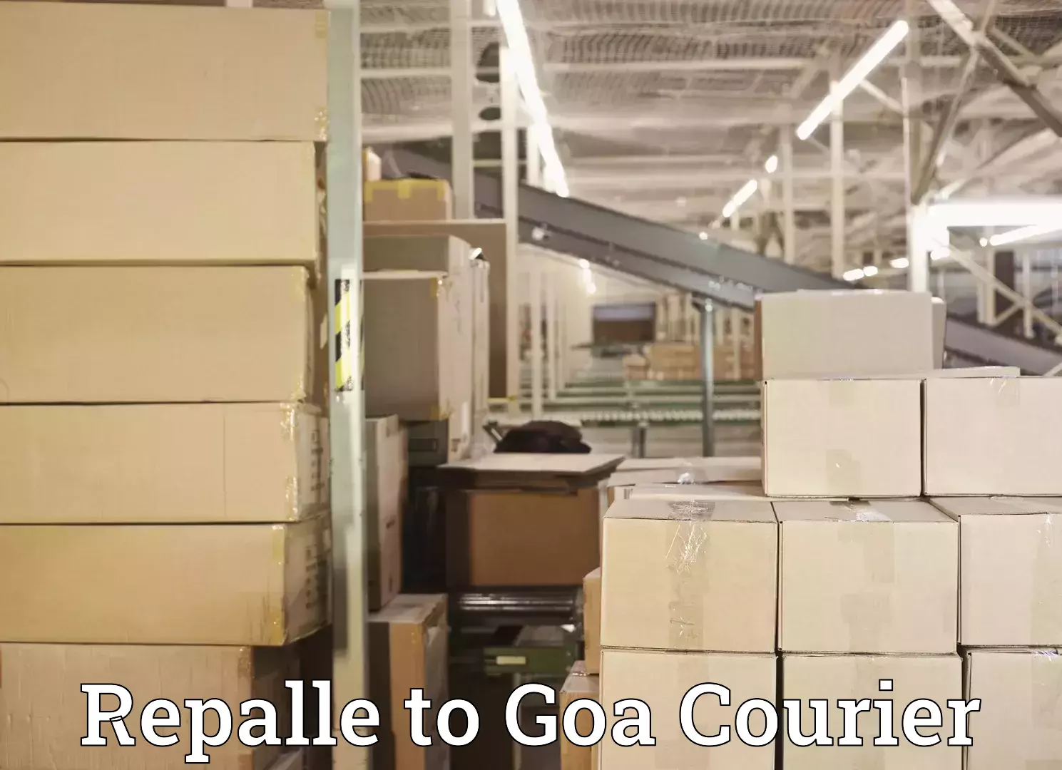 Home relocation solutions in Repalle to South Goa