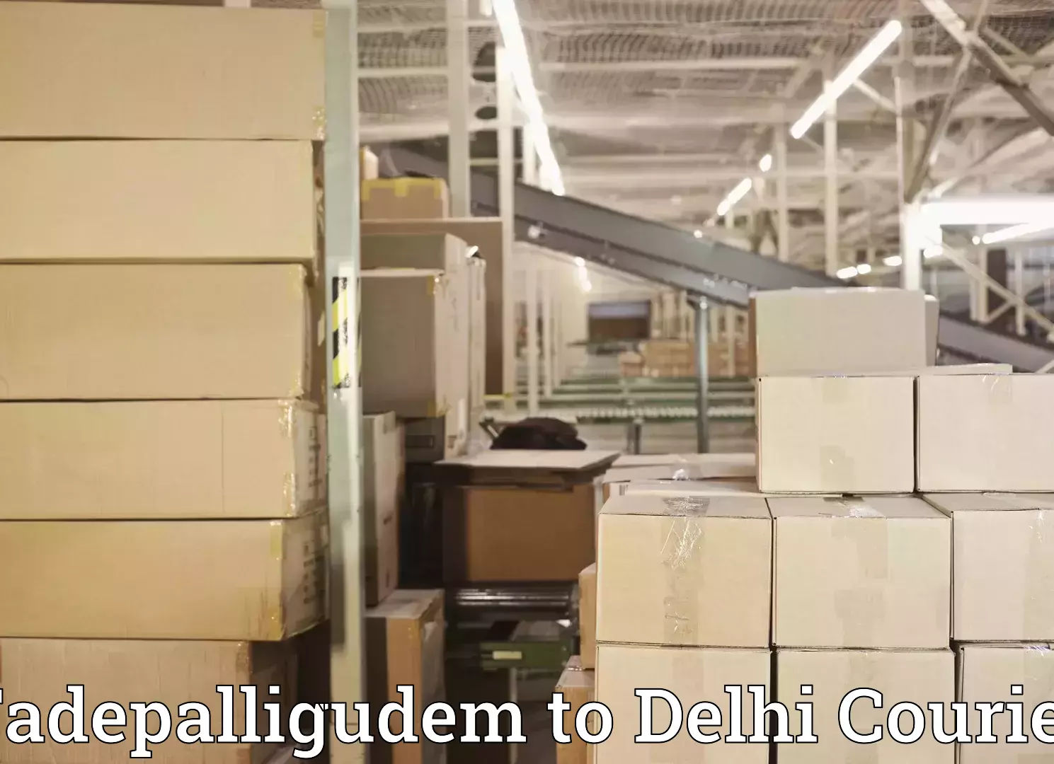 Nationwide furniture movers Tadepalligudem to Jawaharlal Nehru University New Delhi