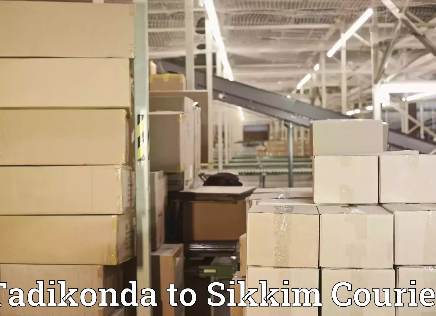 Comprehensive home relocation Tadikonda to South Sikkim