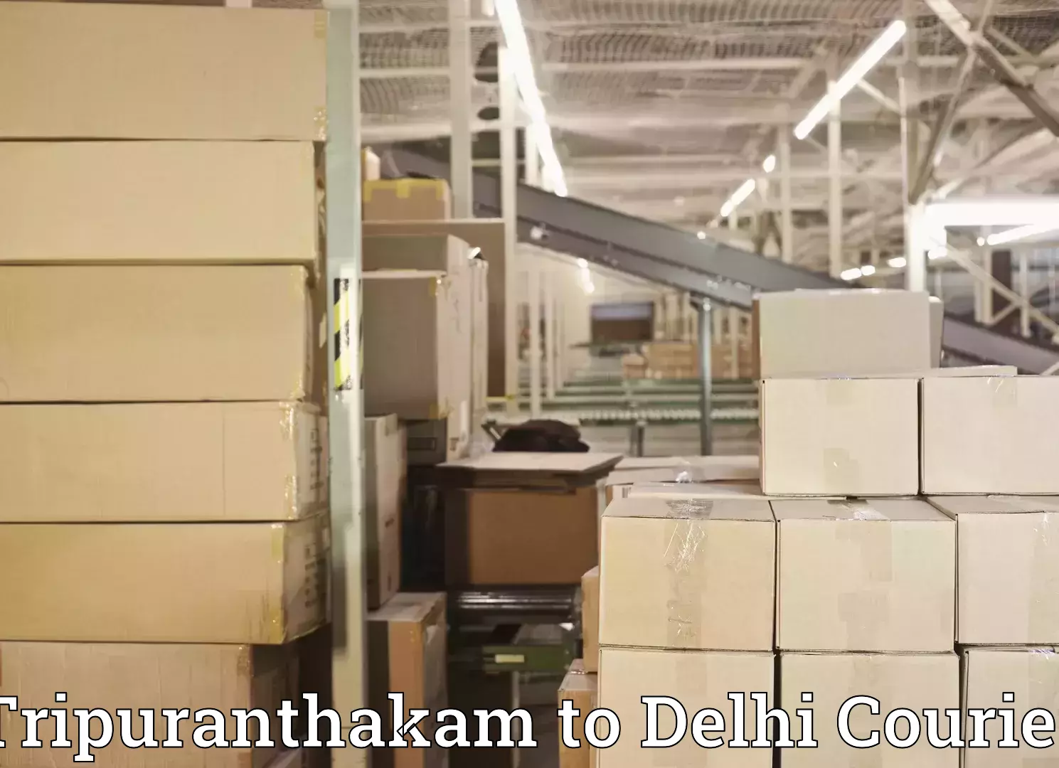 Skilled home shifting Tripuranthakam to Krishna Nagar