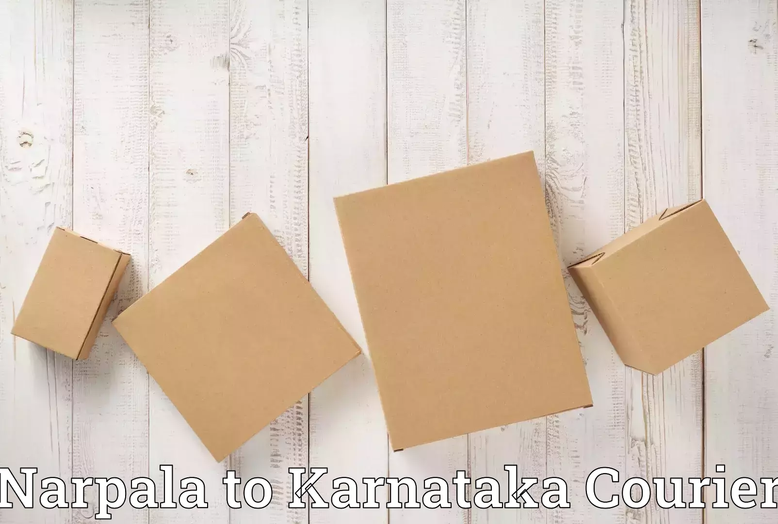 Direct baggage courier Narpala to Mangalore Port