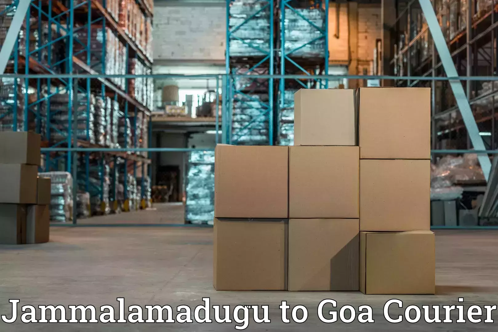 Baggage transport network Jammalamadugu to NIT Goa