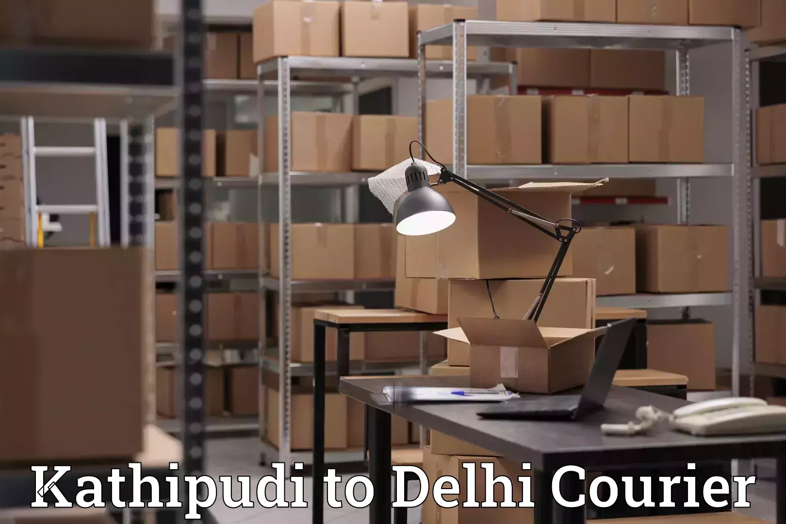 Luggage courier logistics Kathipudi to Delhi