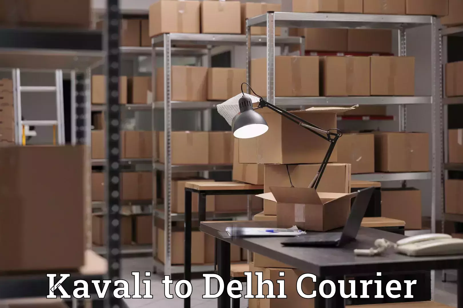 Budget-friendly baggage courier Kavali to Ashok Vihar