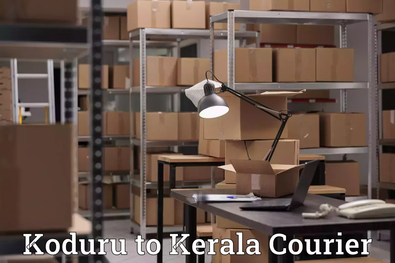 Personal luggage delivery Koduru to Kerala