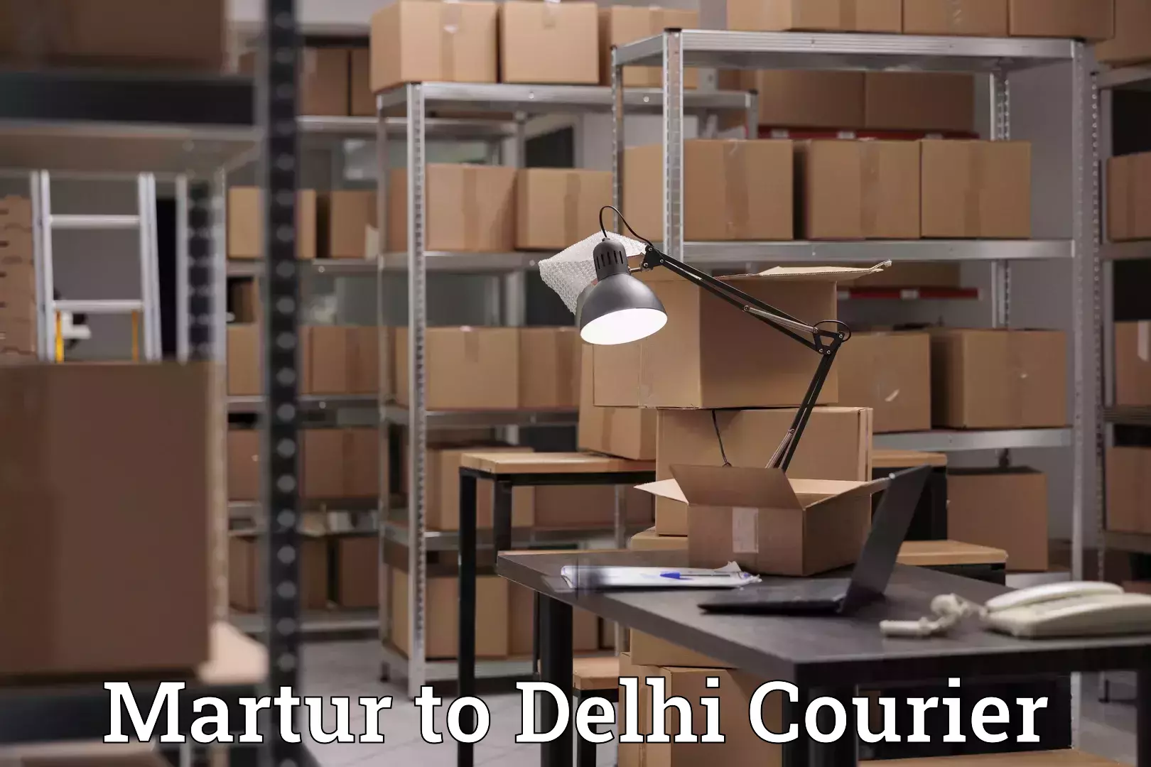 Budget-friendly baggage courier Martur to Delhi