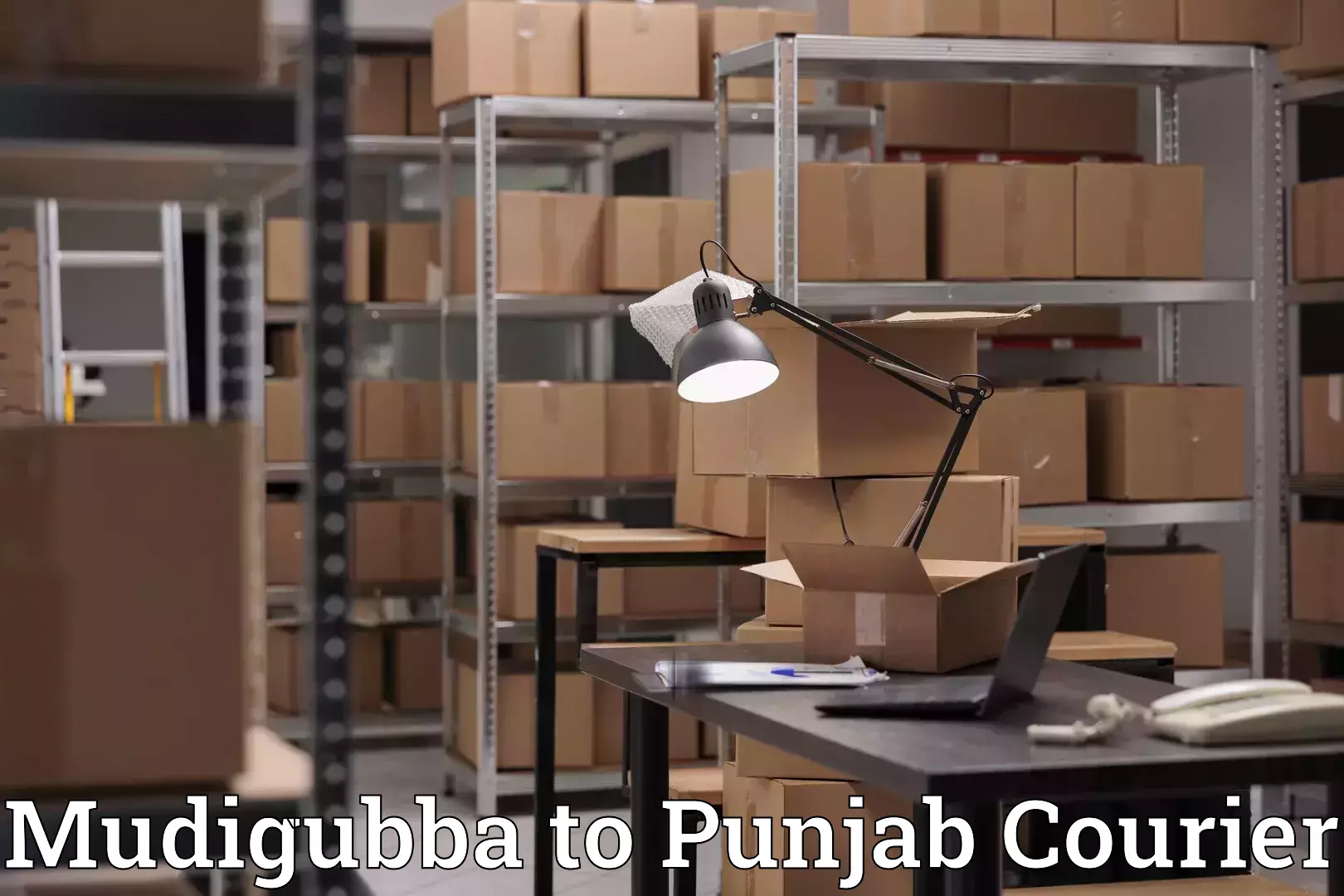 Baggage shipping quotes Mudigubba to Punjab Agricultural University Ludhiana