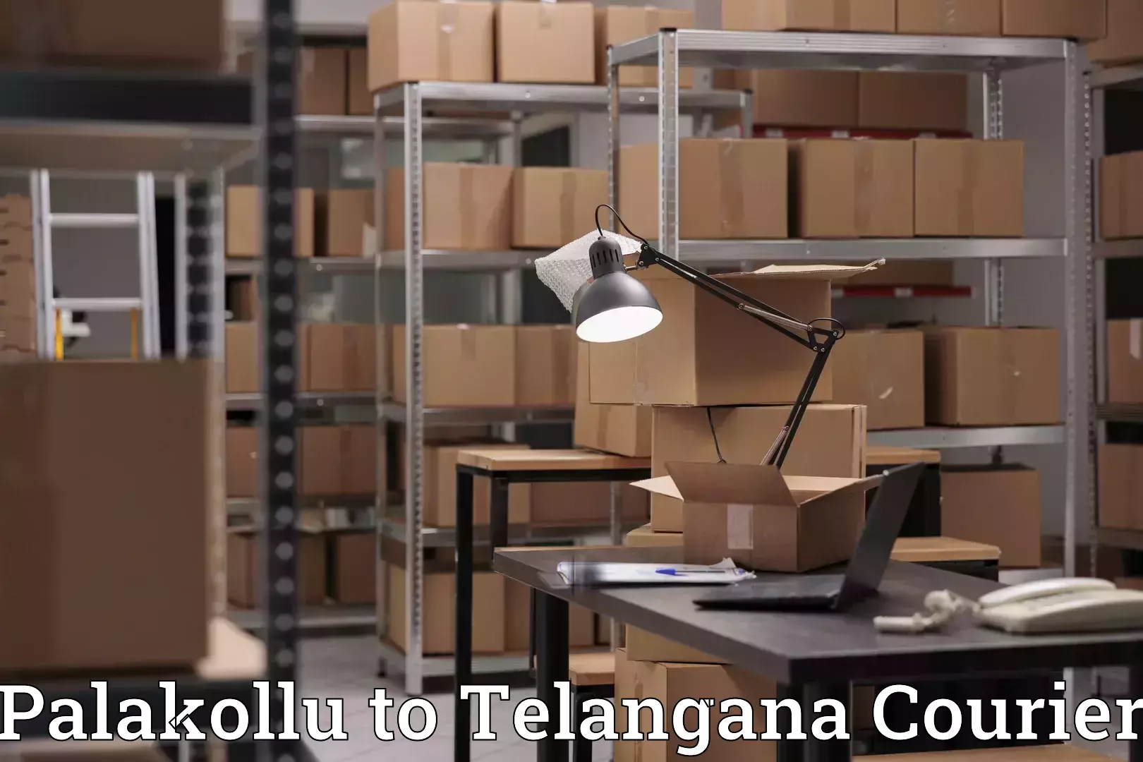 Baggage courier logistics Palakollu to Rangareddy