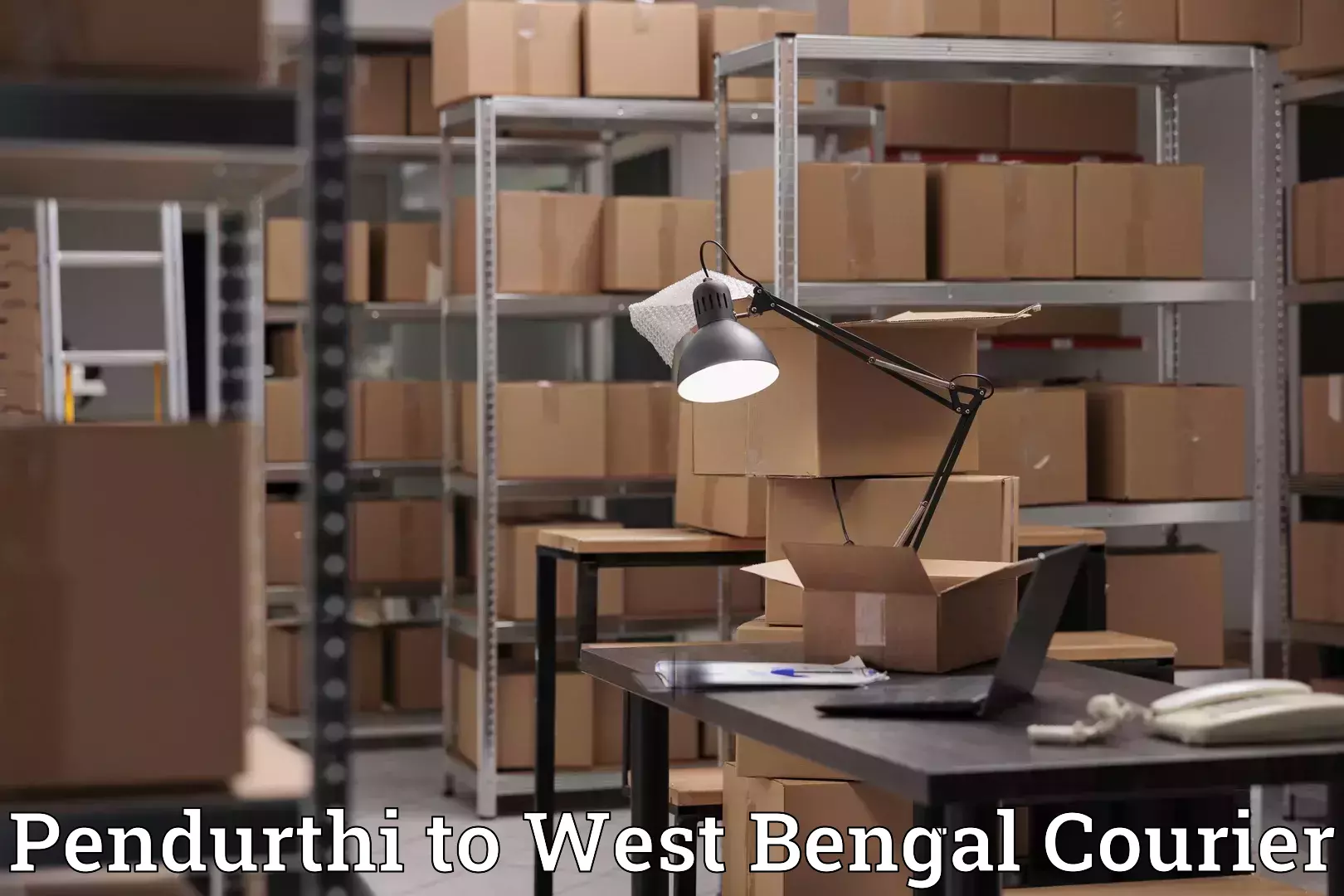 Single item baggage courier Pendurthi to Tamluk