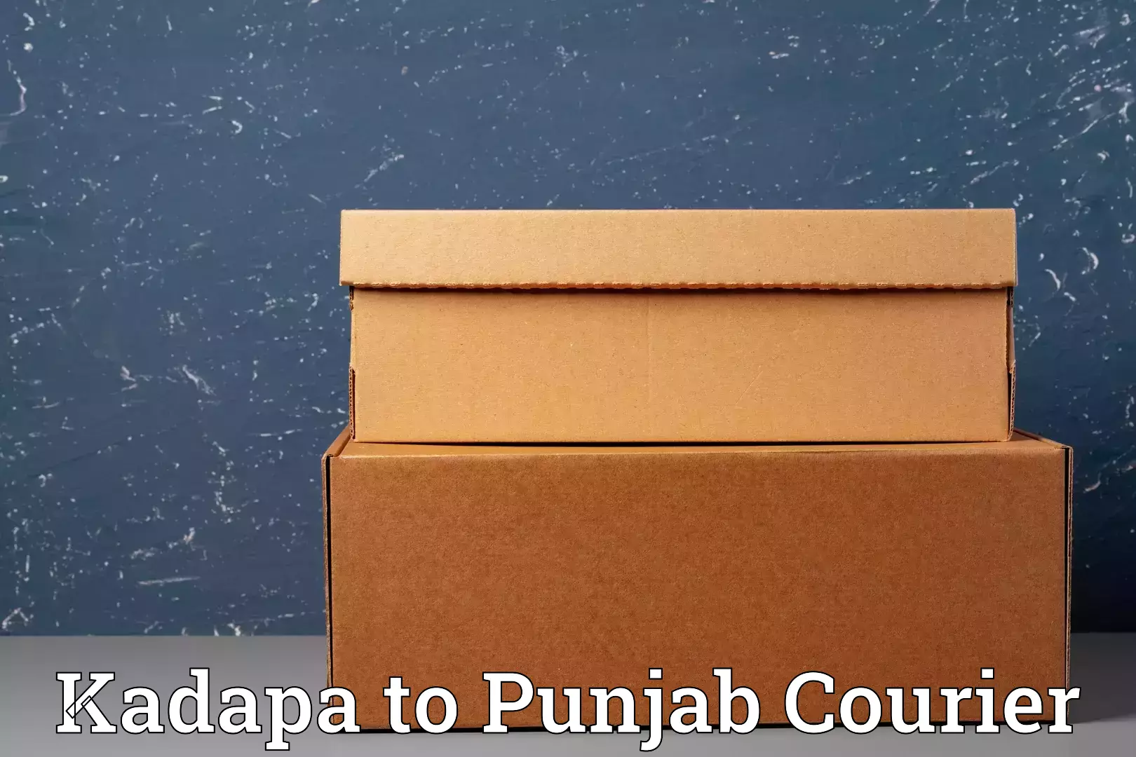 Baggage courier service Kadapa to Central University of Punjab Bathinda