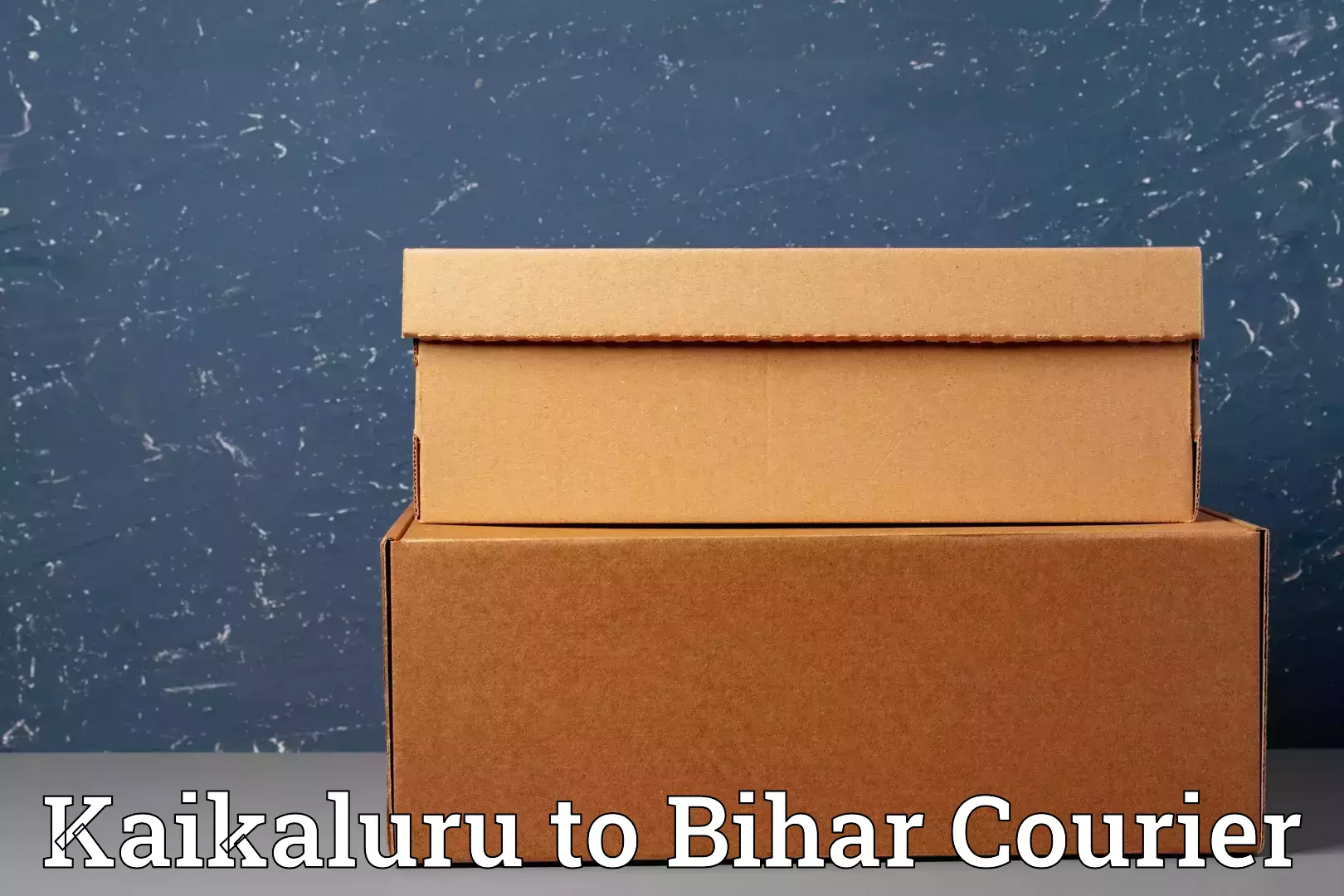 Personal effects shipping Kaikaluru to Aurangabad Bihar