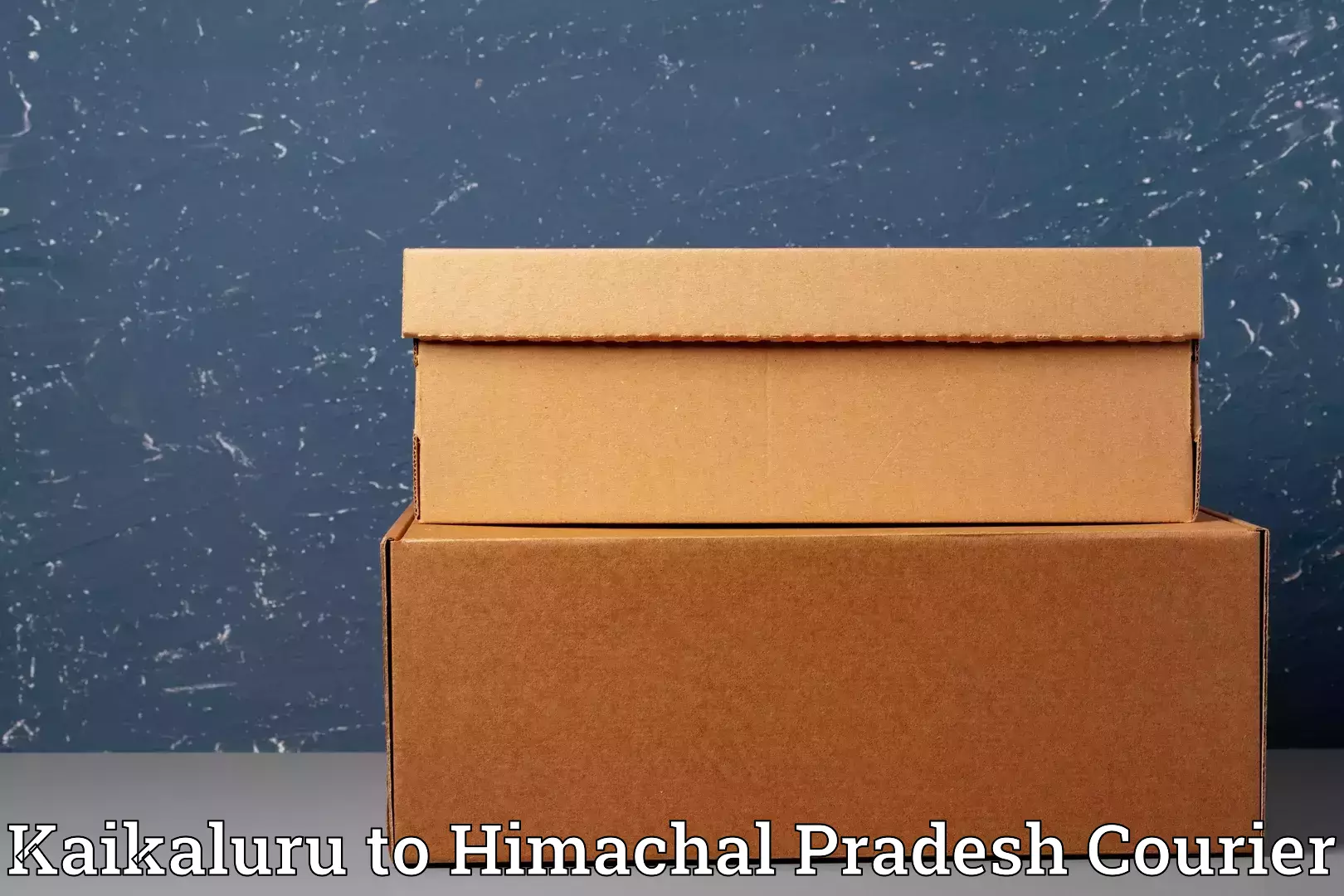 Hassle-free luggage shipping in Kaikaluru to Amb Una