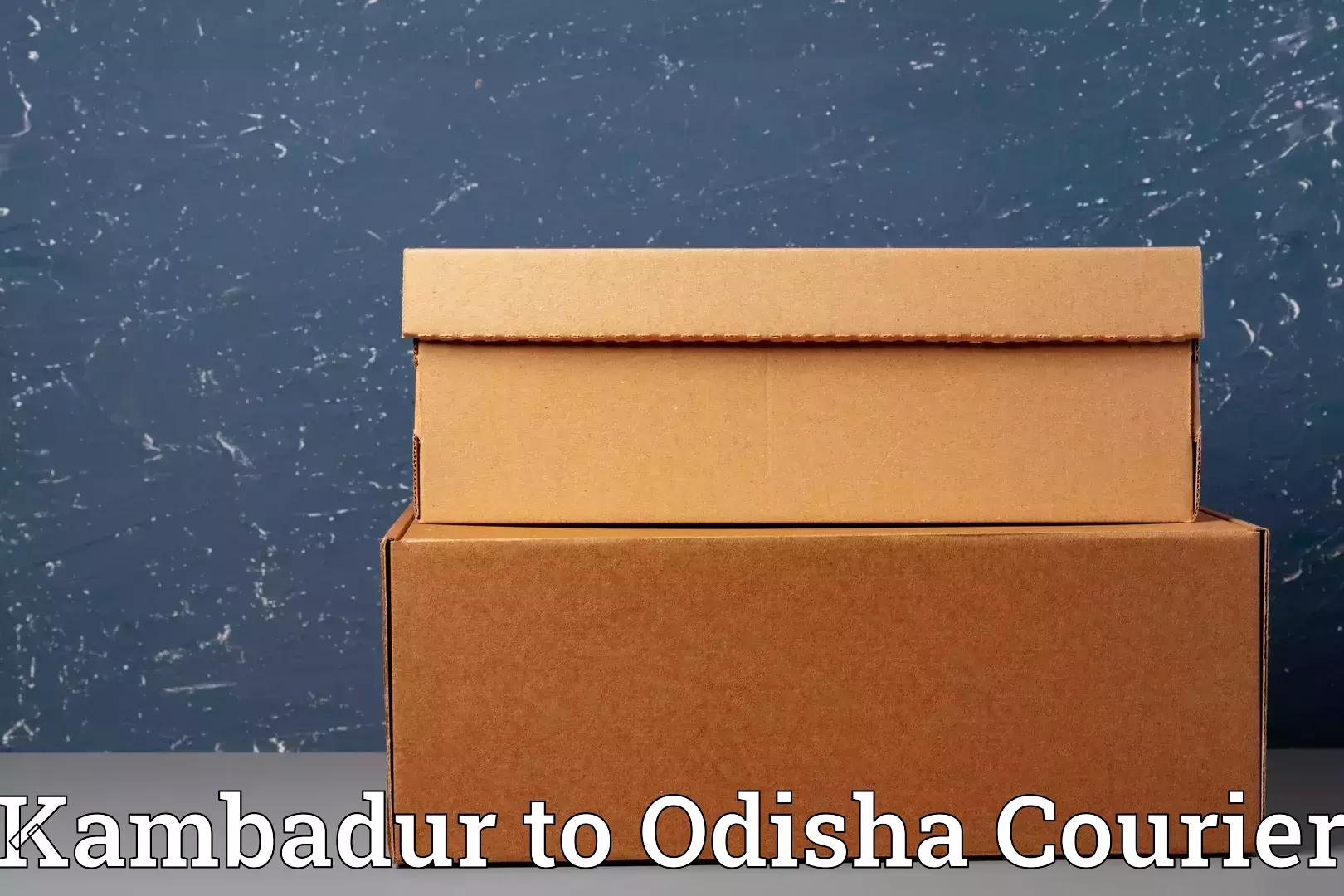 Luggage shipping trends Kambadur to Jharsuguda