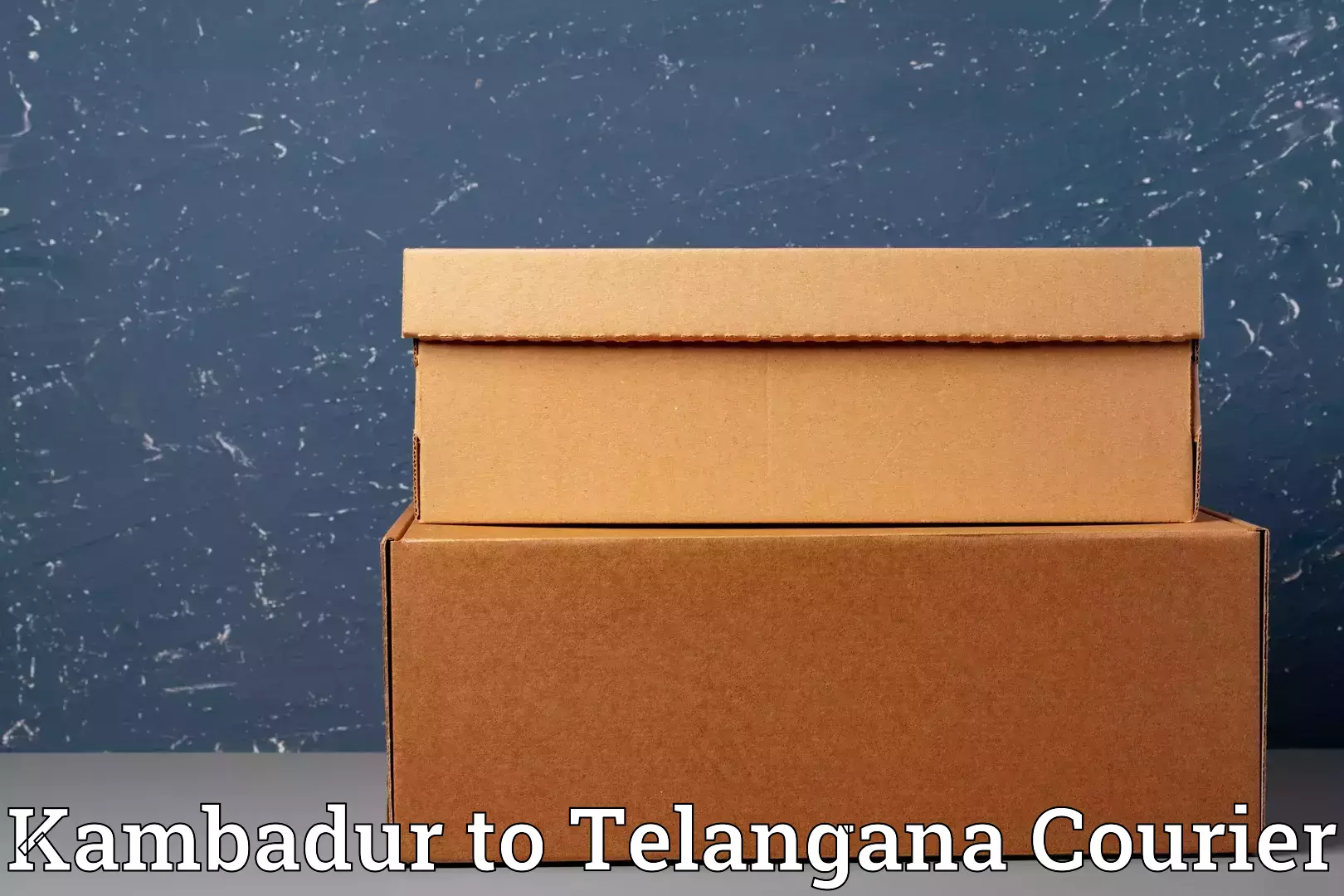 Baggage delivery planning in Kambadur to Telangana