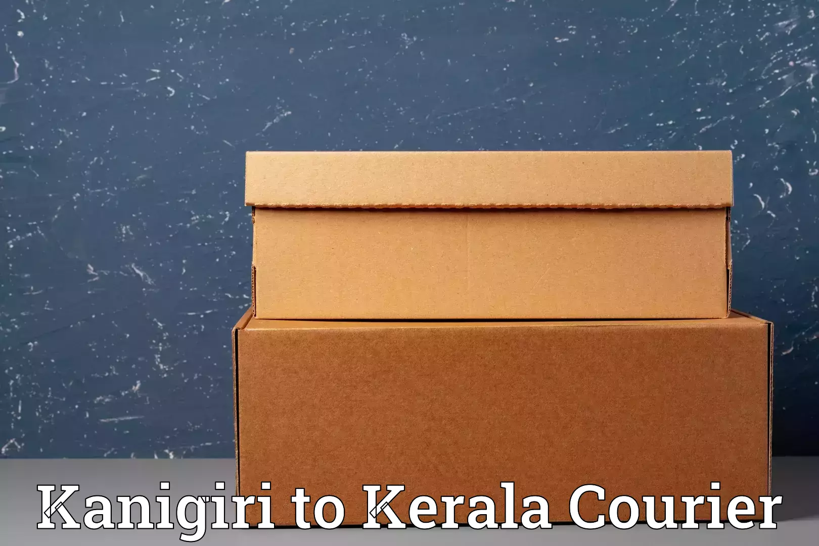 Luggage transport solutions Kanigiri to Nileshwar